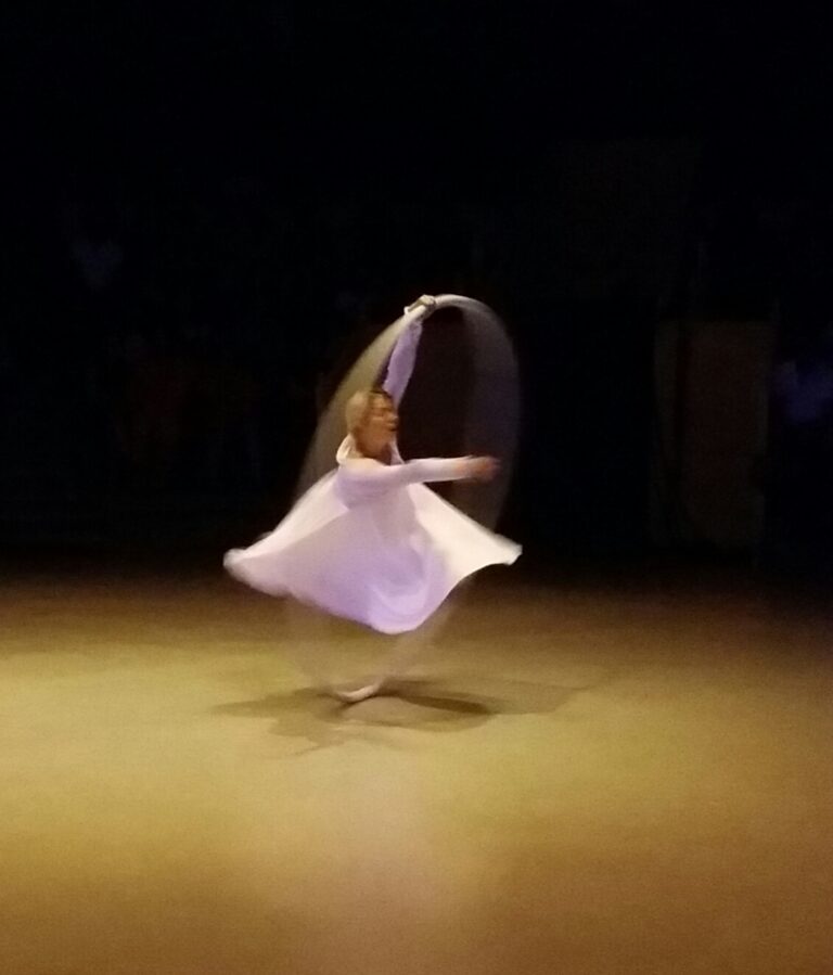Arts du Cirque à Châlons en Champagne