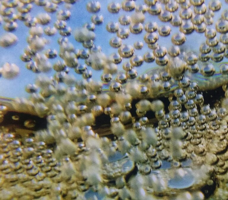 LES BULLES DE CHAMPAGNE ENCHANTÉES  PAR LA RECHERCHE