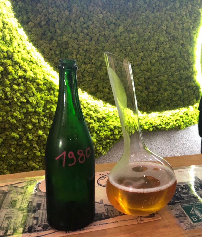 LE MEUNIER DE CHAMPAGNE, UN CÉPAGE QUI S’ÉMANCIPE
