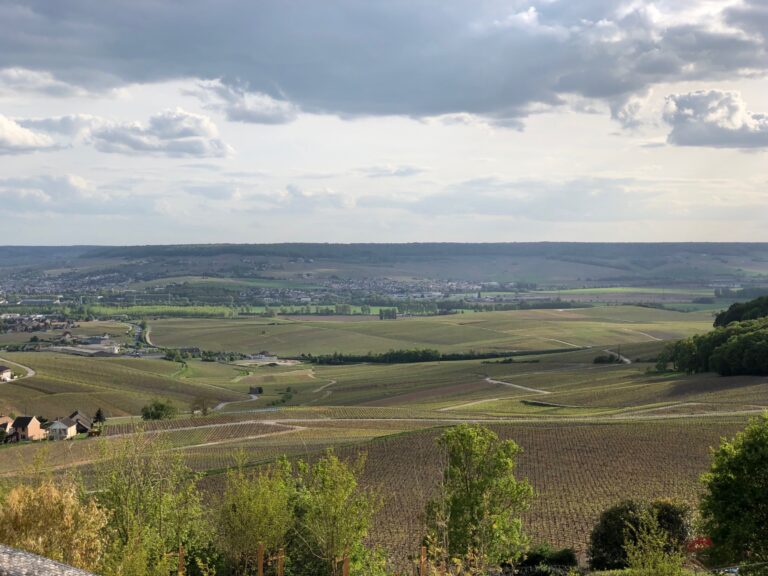 UNESCO EN CHAMPAGNE,UNE VRAIE MISSION