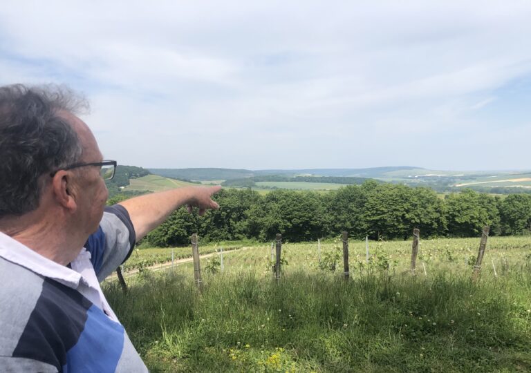 CHAMPAGNE : UN HÔTEL QUATRE ÉTOILES AU DESSUS DES VIGNES À MUTIGNY