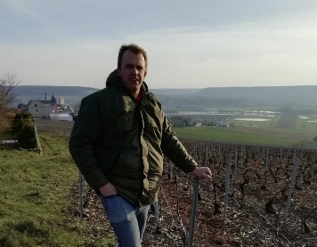 CHAMPAGNE : LES RENDEMENTS TOUJOURS AMERS DE LA DERNIÈRE VENDANGE