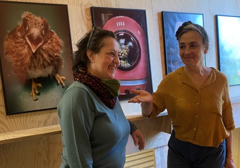CATHERINE RINGER TOUCHÉE PAR LES ANIMAUX CABOSSÉS DE NATHALIE BAZYLAK
