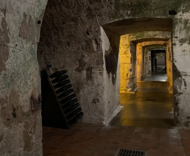 LES CAVES DE CHAMPAGNE, UN JOYAU À SAUVEGARDER