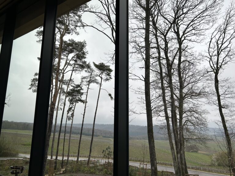 DÉJEUNER A MUTIGNY EN CHAMPAGNE, MÊME PAR TEMPS GRIS