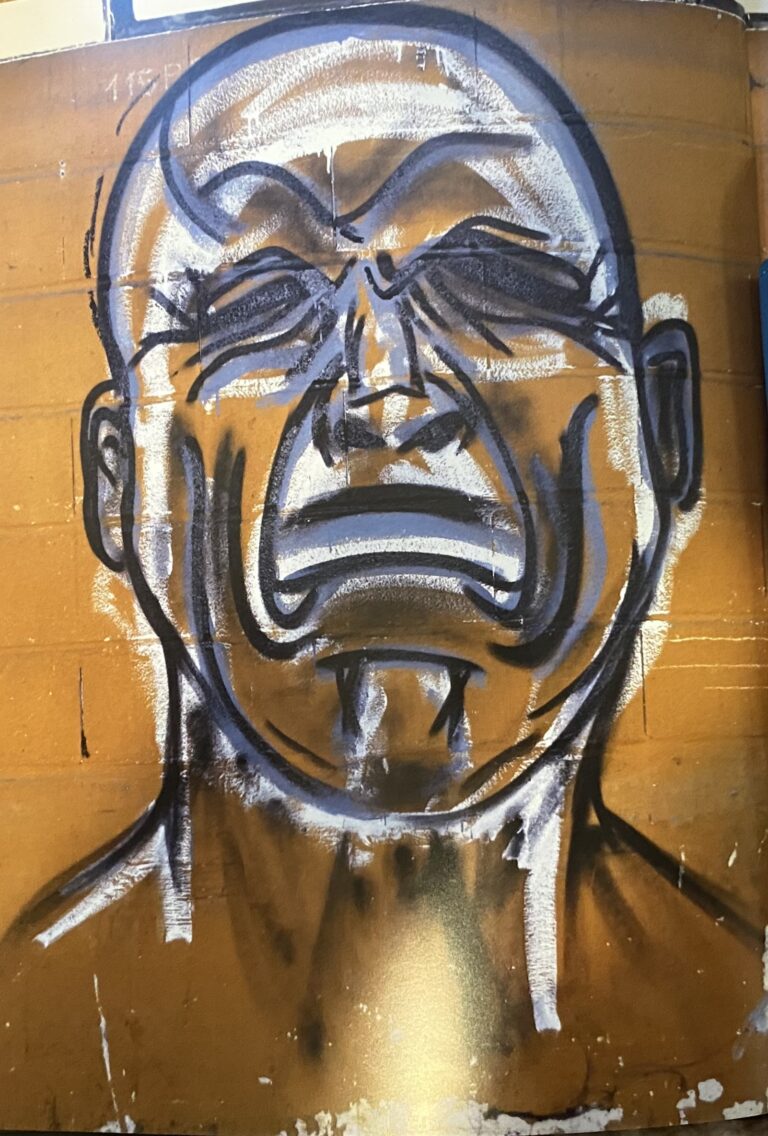 Illustration Léo Bonito