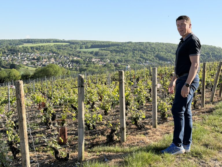 APRÈS DES GELÉES SÉVÈRES, LA CHAMPAGNE CULTIVE SA  RÉSILIENCE