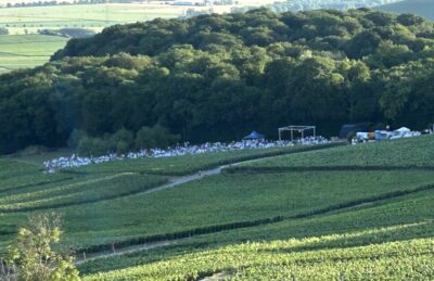 Le vignoble de Champillon en Champagne
