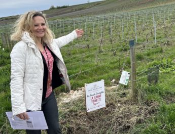 OENOTOURISME EN CHAMPAGNE, L’AUTRE PASSION VIGNERONNE DE CHRISTINE SEVILLANO